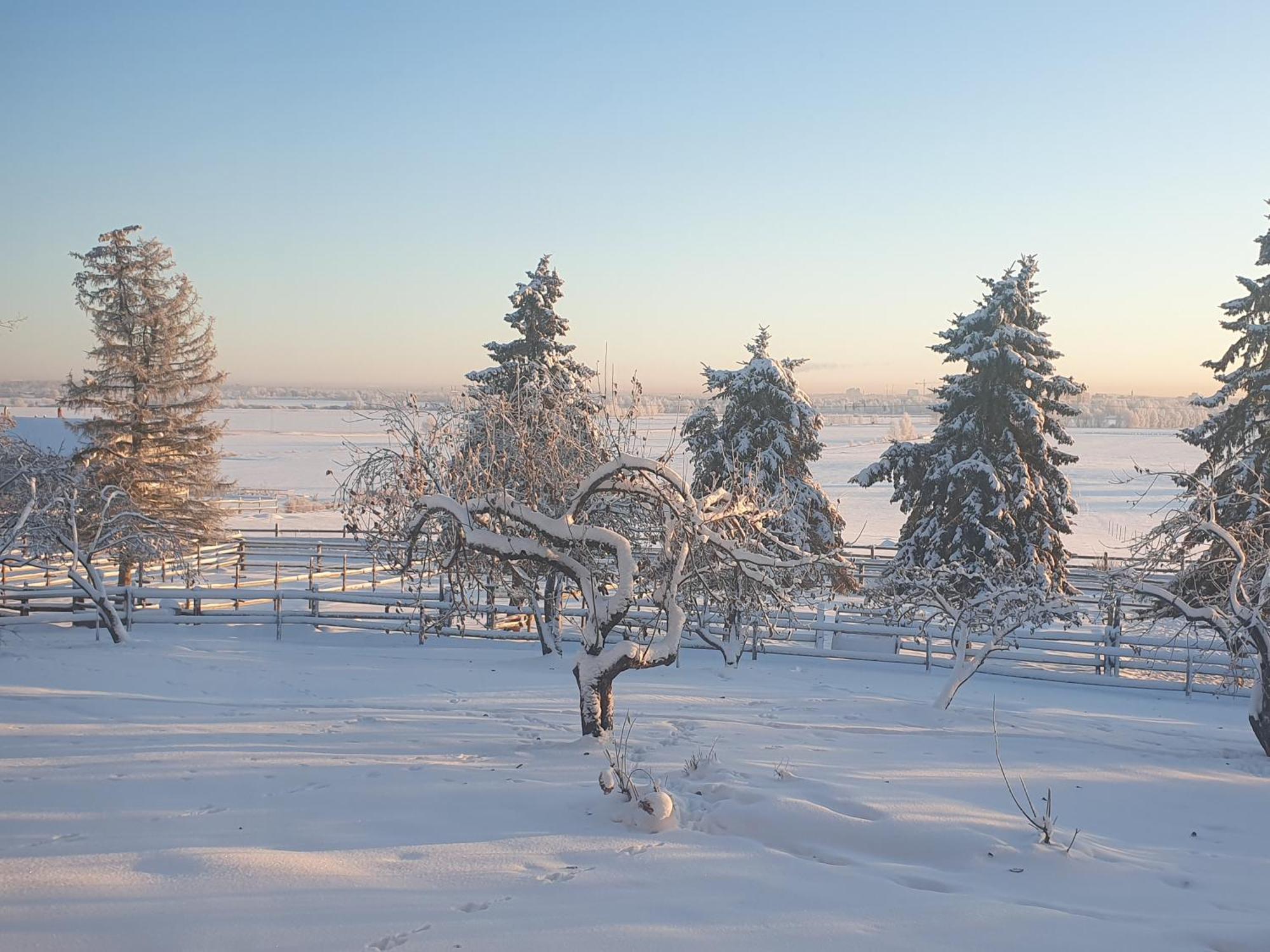 Penzion Siirilaen Tila Seinäjoki Exteriér fotografie