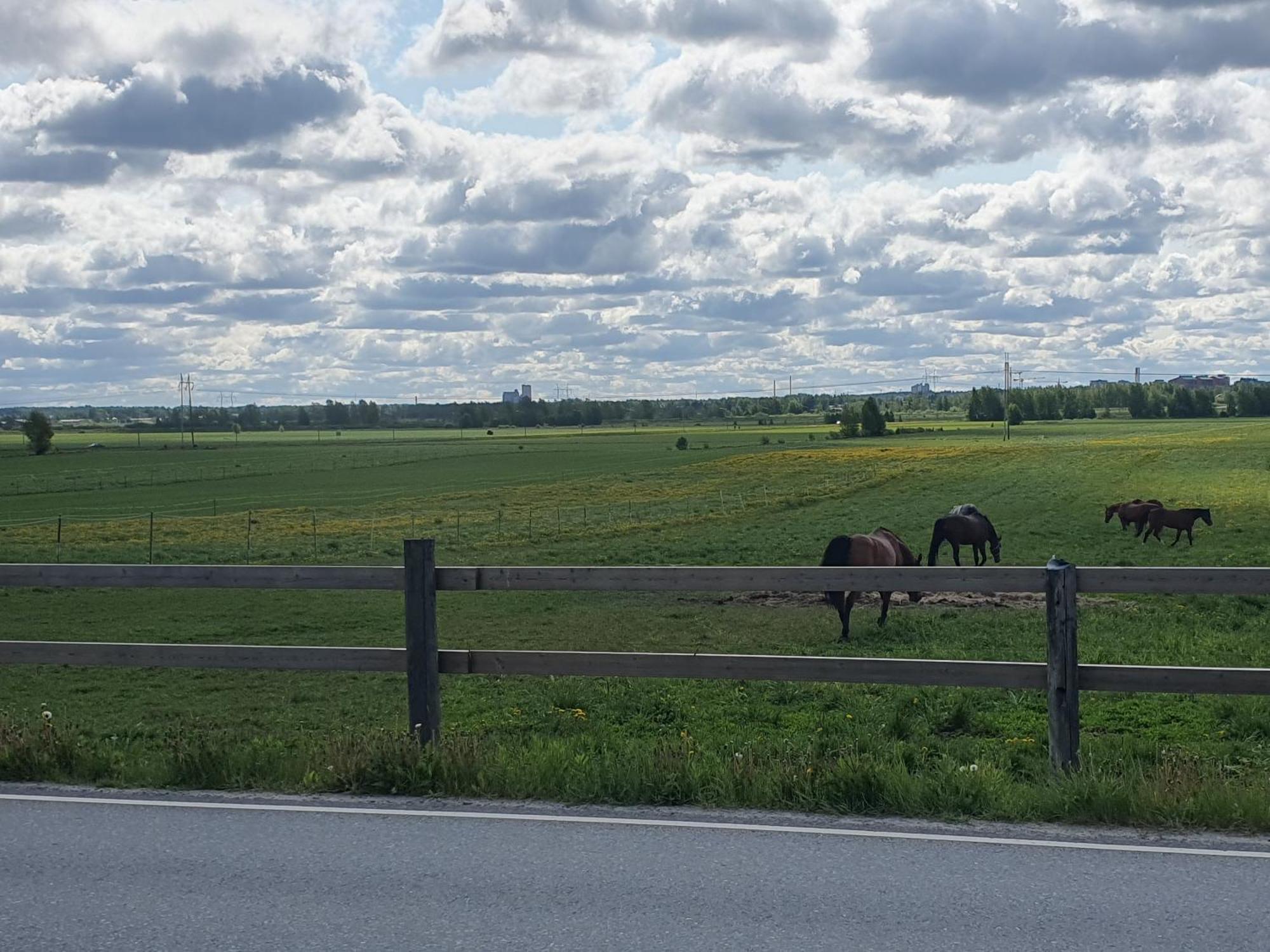 Penzion Siirilaen Tila Seinäjoki Exteriér fotografie